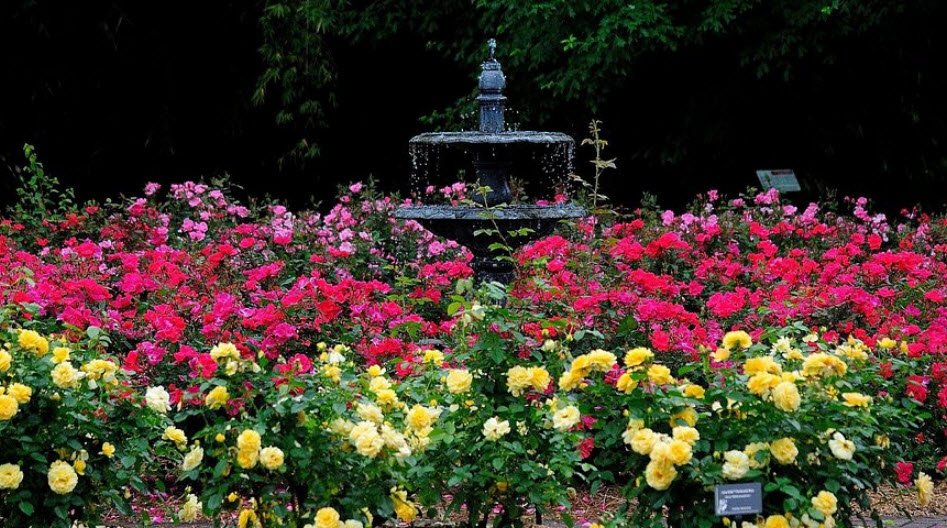 Coastal Georgia Botanical Gardens, United States